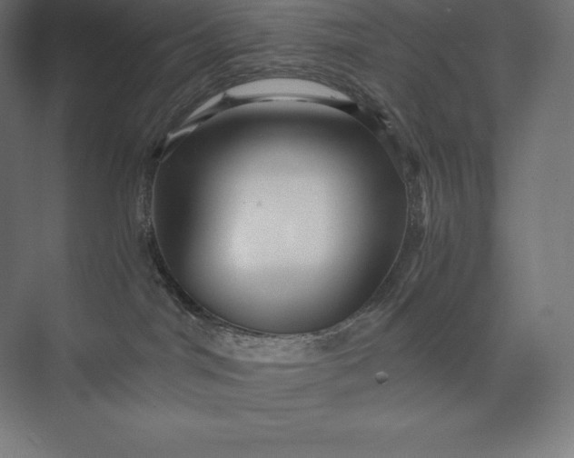 X0000074000044200609061035