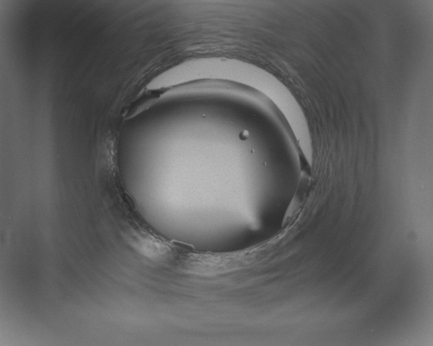 X0000074000045200609061035