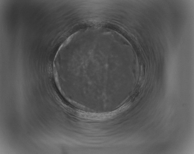 X0000074000048200609061035