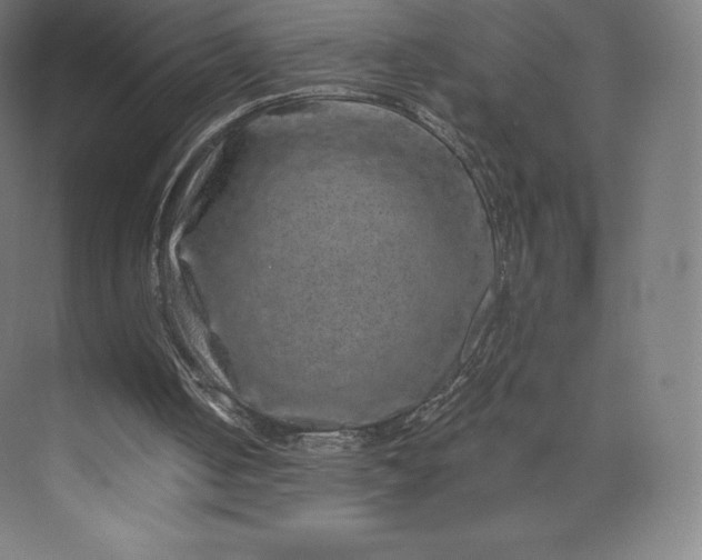 X0000074000050200609061034