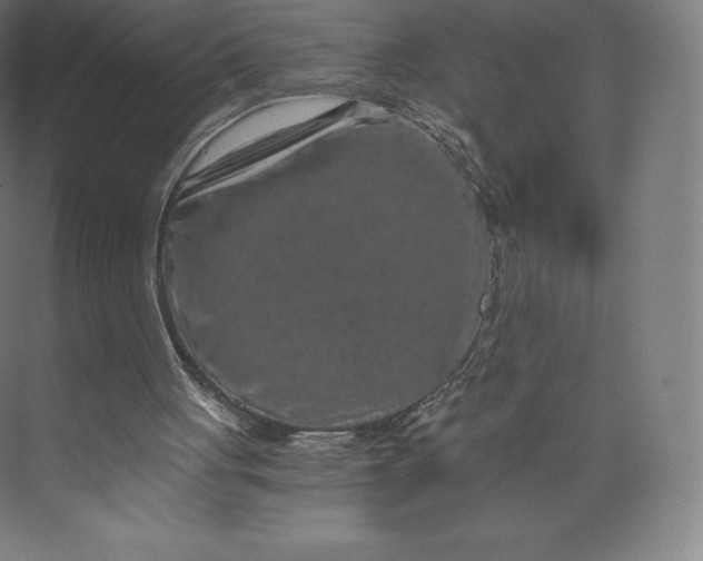 X0000074000051200609061034