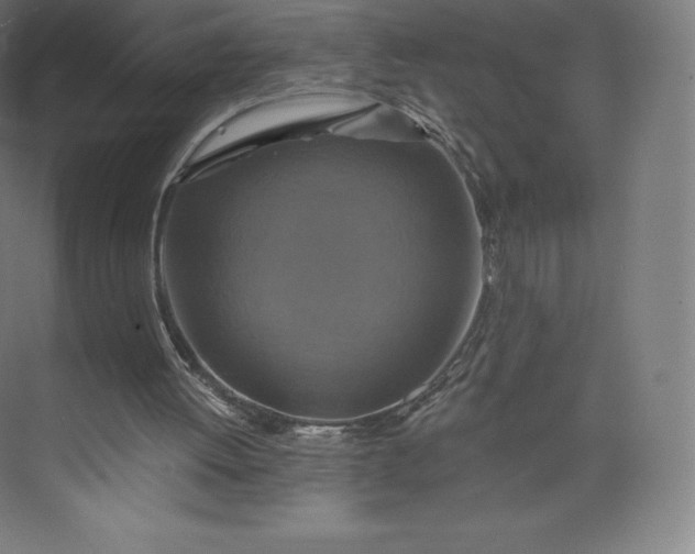 X0000074000052200609061034