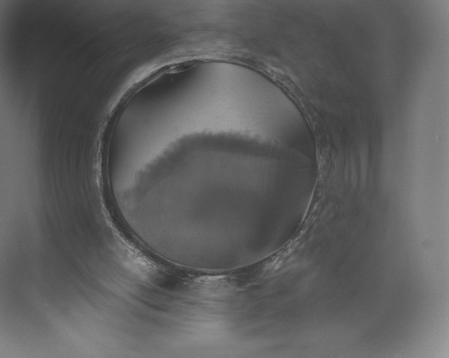 X0000074000054200609061034