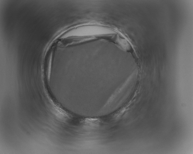 X0000074000055200609061034