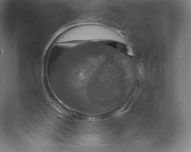 X0000074000056200609061034