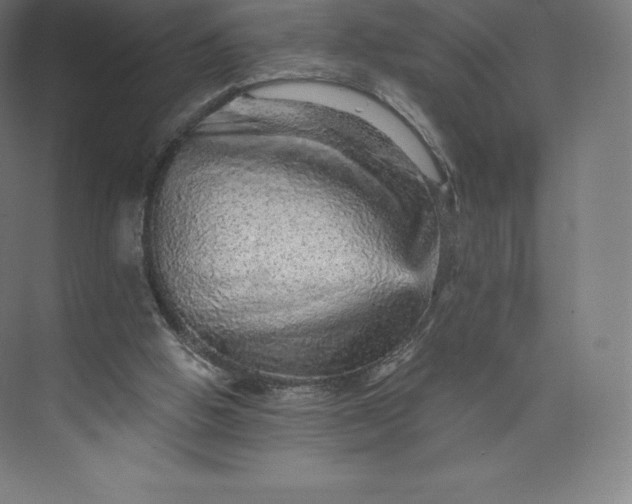 X0000074000058200609061034