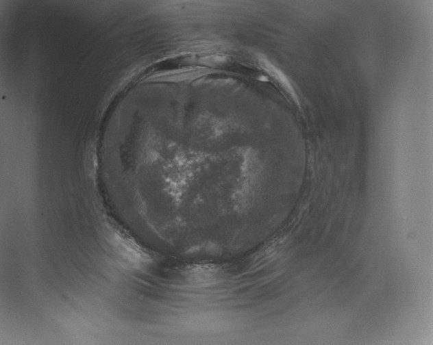 X0000074000059200609061034