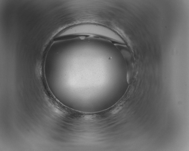 X0000074000060200609061034