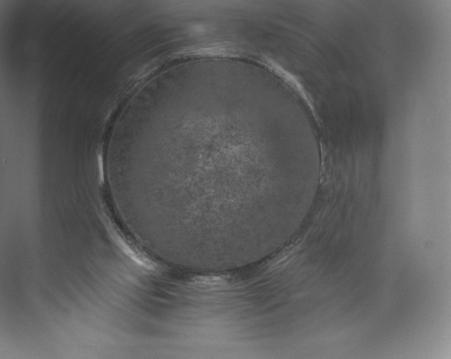 X0000074000061200609061034