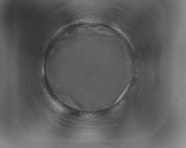 X0000074000062200609061034