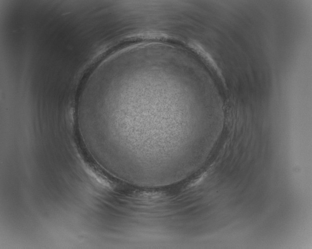 X0000074000063200609061034