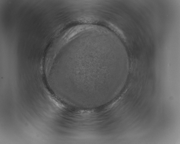 X0000074000065200609061034