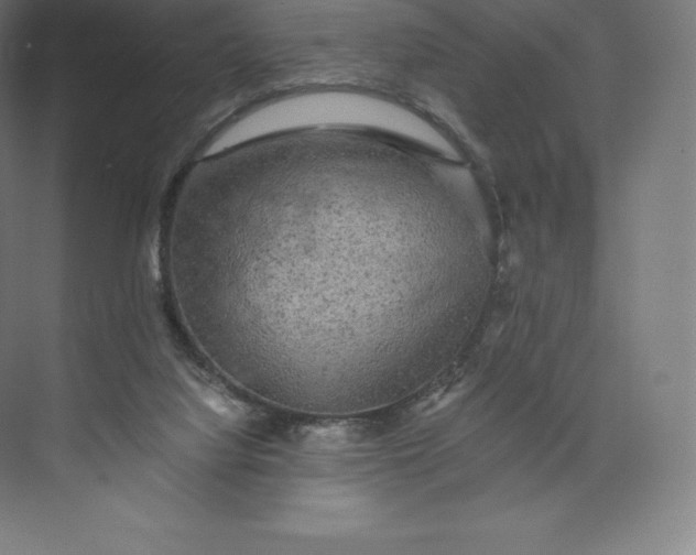 X0000074000068200609061034