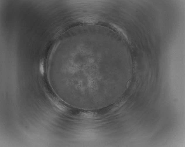 X0000074000069200609061034