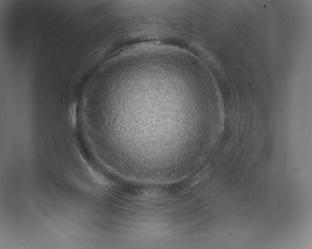 X0000074000070200609061034