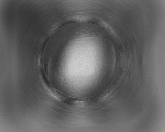 X0000074000071200609061034