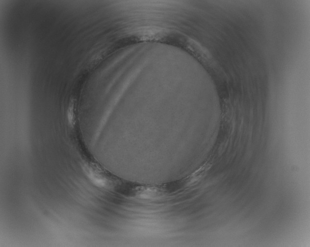 X0000074000074200609061034