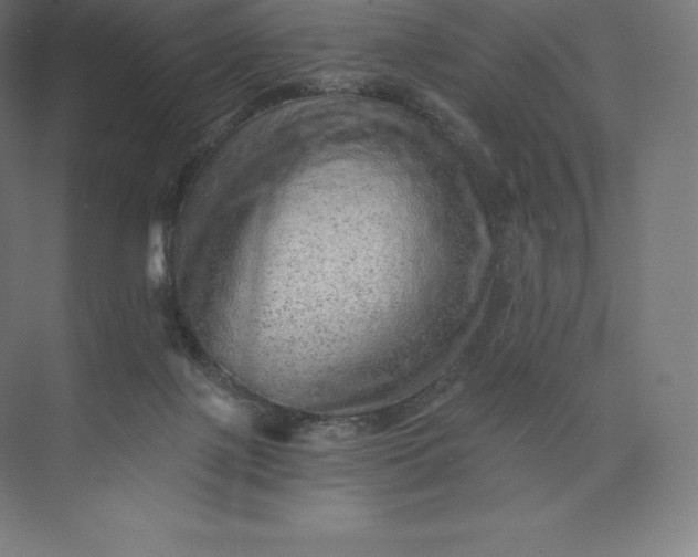 X0000074000075200609061034