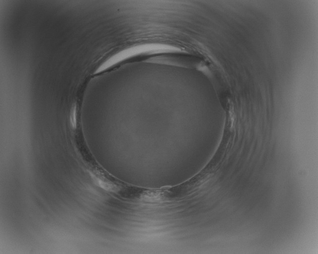 X0000074000076200609061034