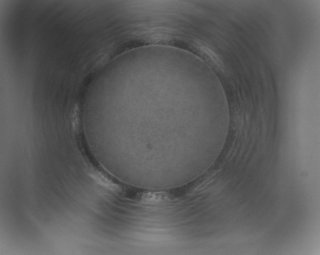 X0000074000077200609061034