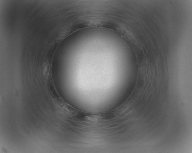 X0000074000079200609061034