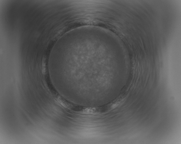 X0000074000080200609061035