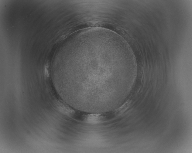 X0000074000090200609061035