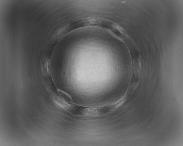 X0000074000094200609061035