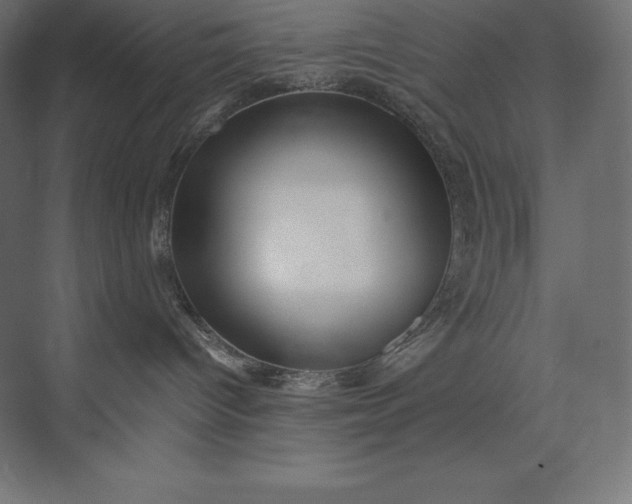 X0000074000096200609061035