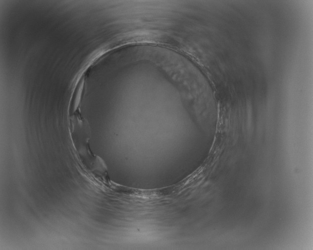 X0000074000099200609061034