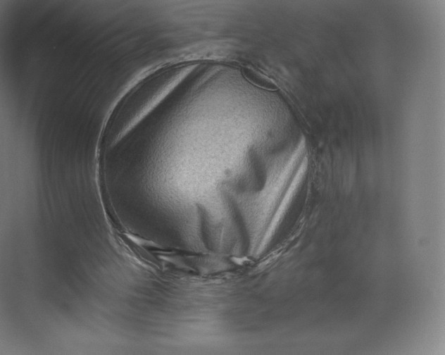 X0000074000100200609061034