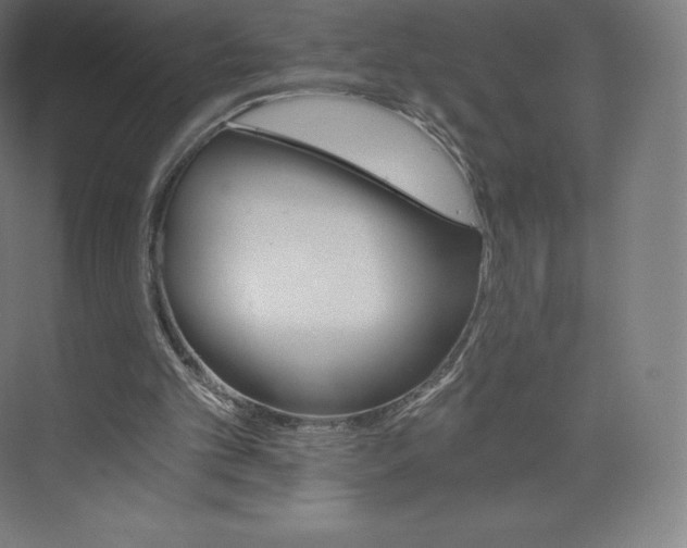 X0000074000101200609061034