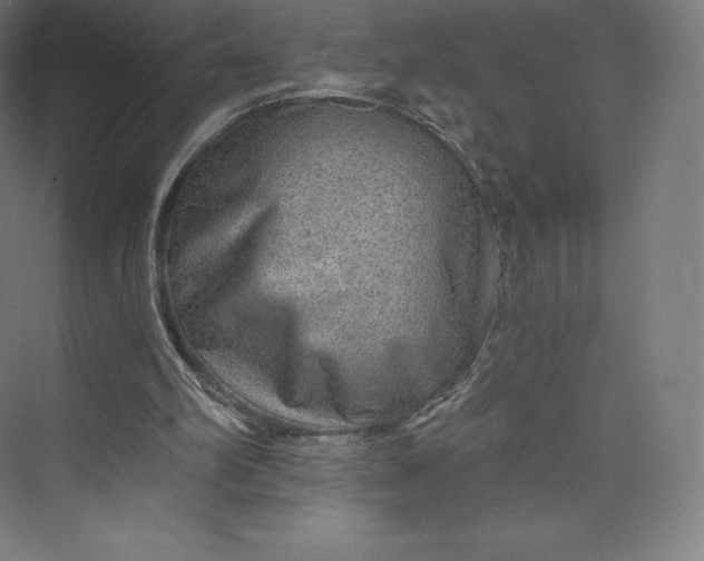 X0000074000102200609061034