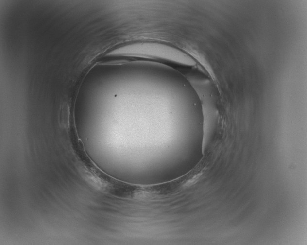 X0000074000109200609061034