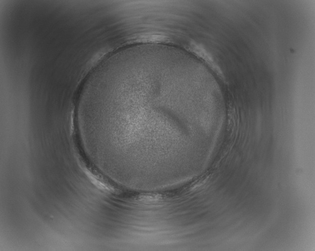 X0000074000110200609061034