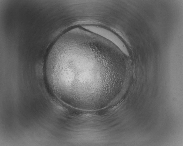 X0000074000111200609061034