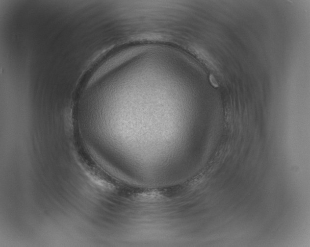 X0000074000112200609061034