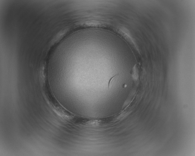 X0000074000116200609061034