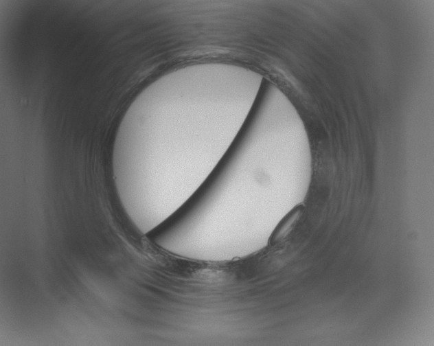 X0000074000119200609061034