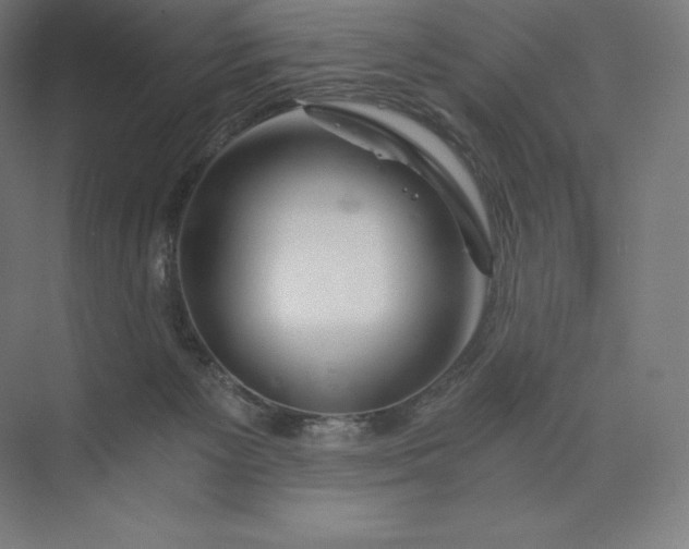 X0000074000125200609061033