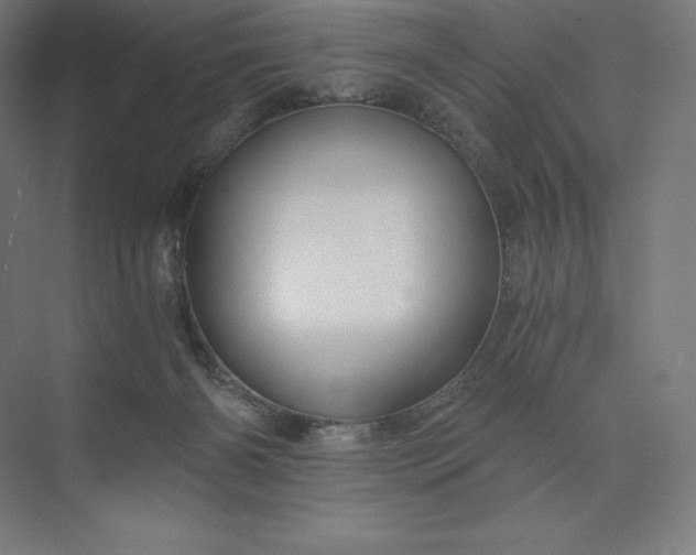 X0000074000126200609061033