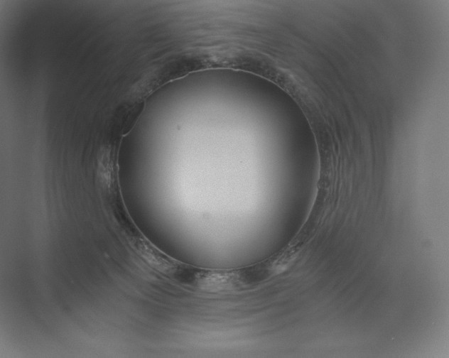 X0000074000129200609061033