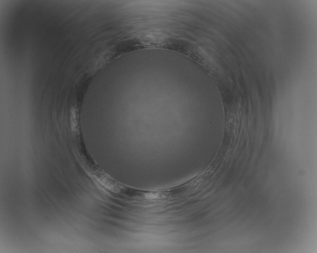 X0000074000130200609061033