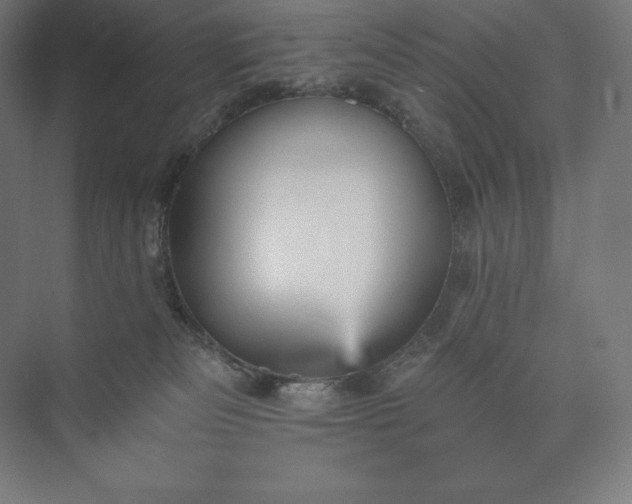 X0000074000133200609061033