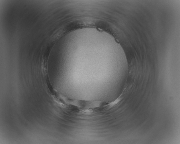 X0000074000140200609061033