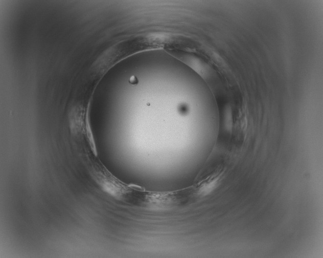 X0000074000141200609061033