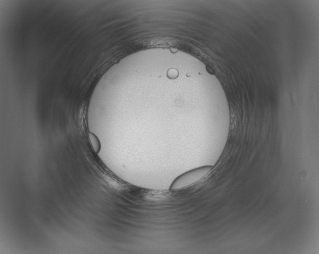 X0000074000142200609061033