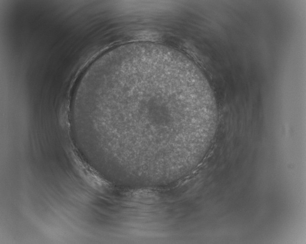 X0000074000146200609061032