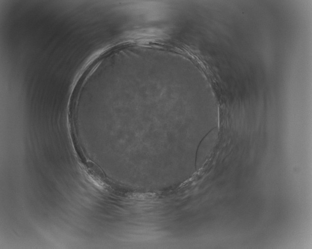 X0000074000147200609061032