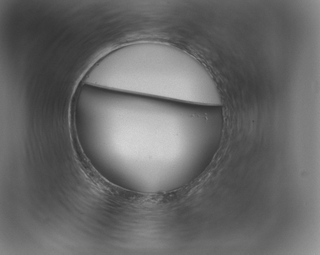 X0000074000148200609061032